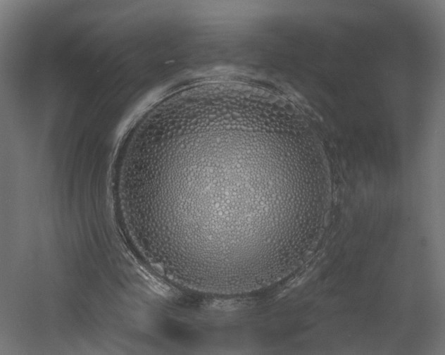 X0000060760341200511101146