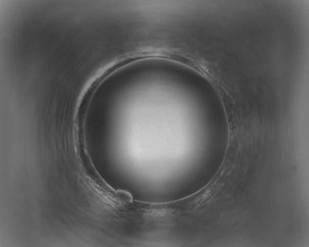 X0000060760342200511101146