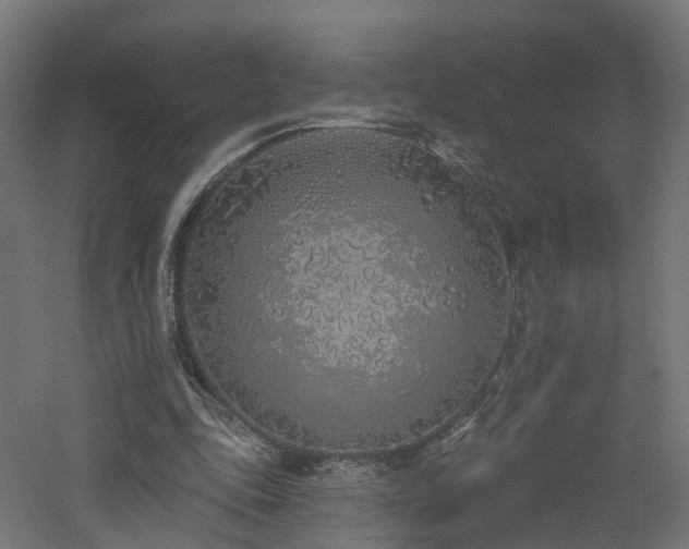 X0000060760343200511101146