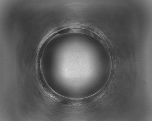 X0000060760344200511101146