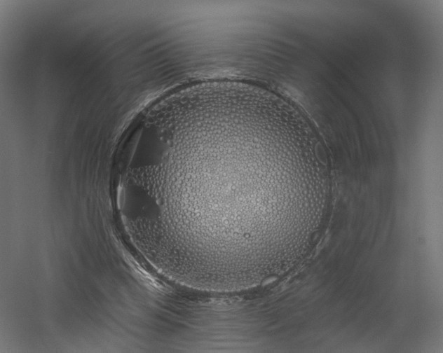 X0000060760345200511101146