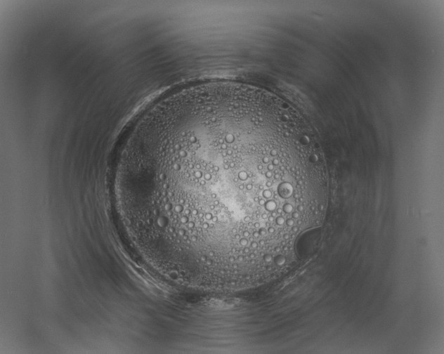 X0000060760346200511101146