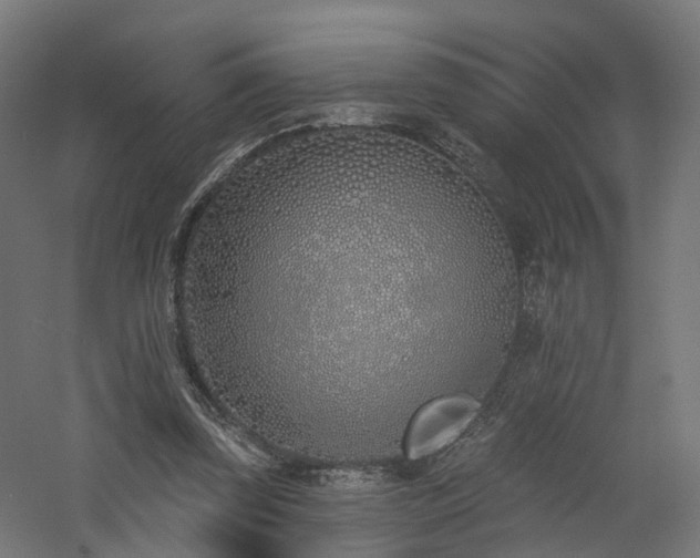 X0000060760347200511101146