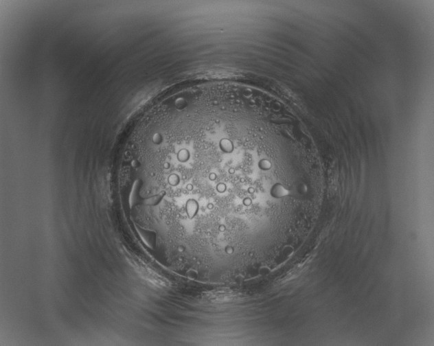 X0000060760351200511101146