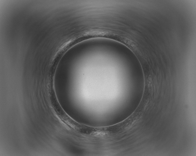 X0000060760352200511101146