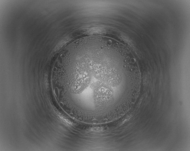 X0000060760353200511101146