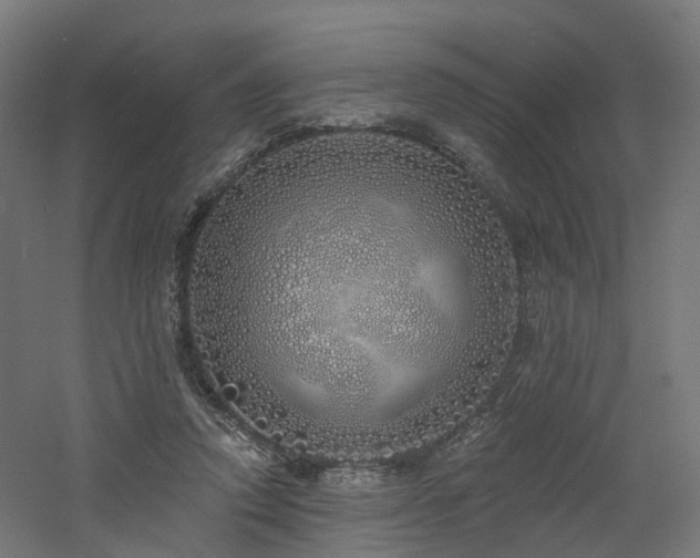 X0000060760354200511101146