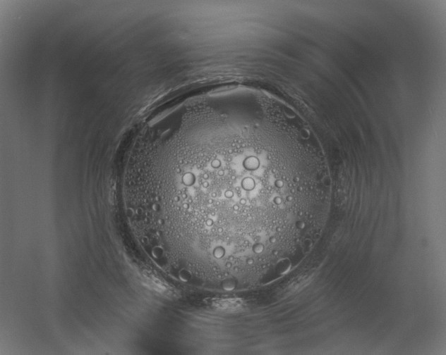 X0000060760355200511101146