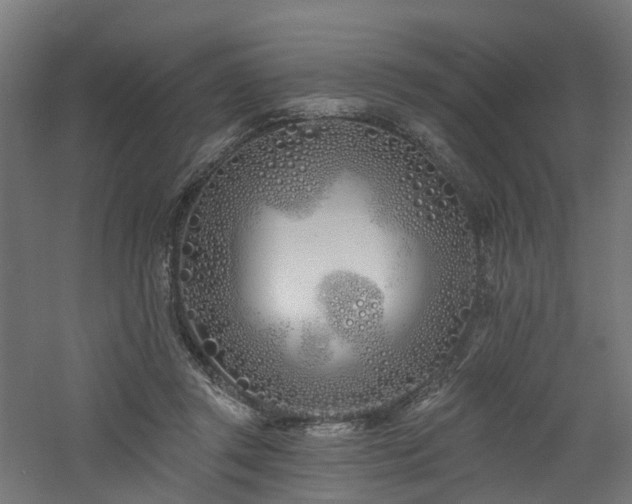 X0000060760357200511101146