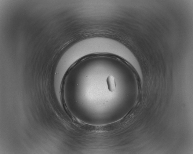 X0000060760360200511101146