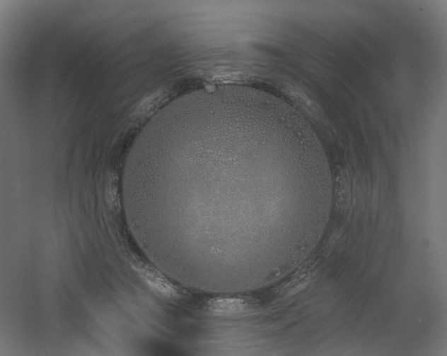 X0000060760361200511101146