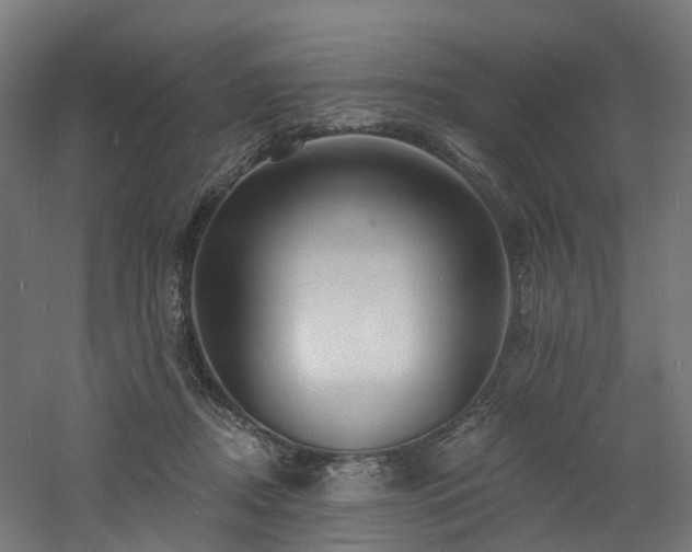 X0000060760362200511101146