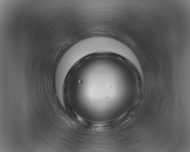 X0000060760365200511101146