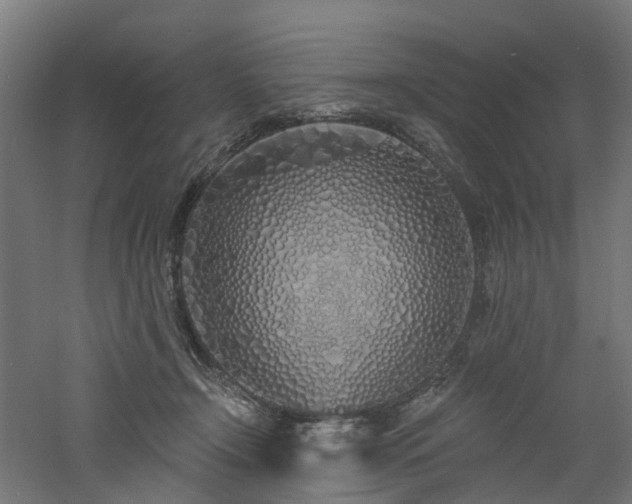 X0000060760366200511101146