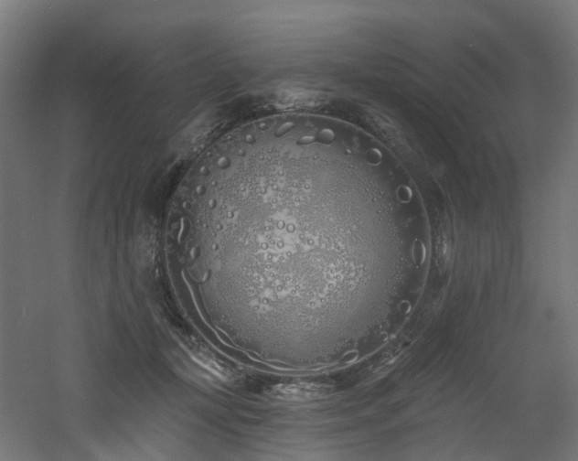 X0000060760367200511101146