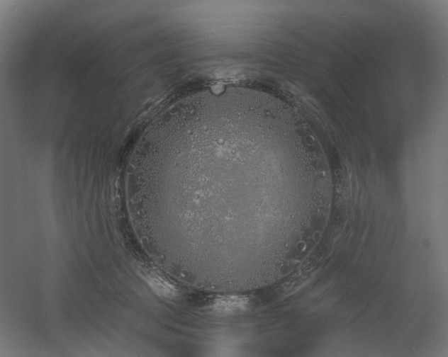 X0000060760369200511101146