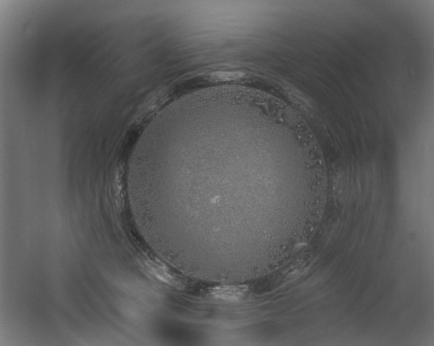 X0000060760373200511101146