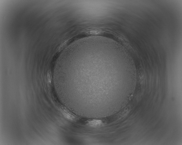 X0000060760374200511101146