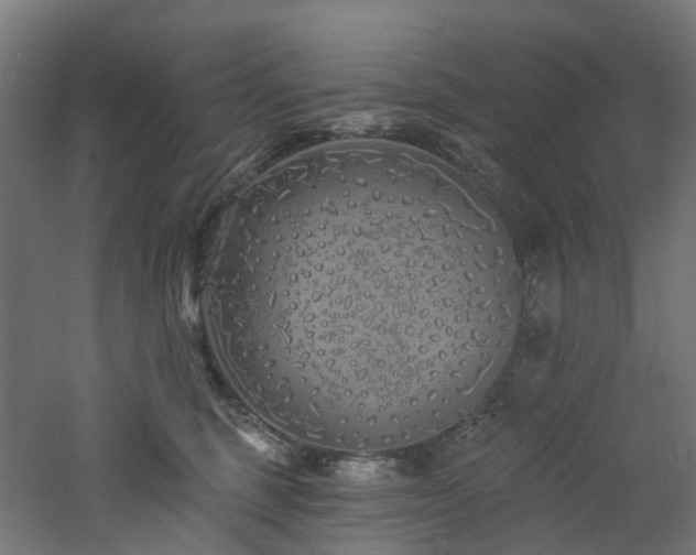 X0000060760375200511101146