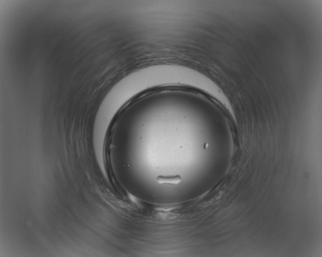 X0000060760376200511101146