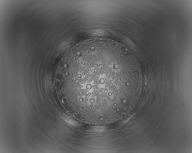 X0000060760377200511101146