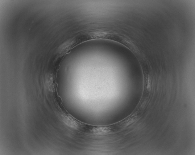 X0000060760378200511101146