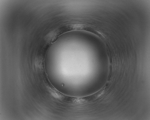 X0000060760379200511101146