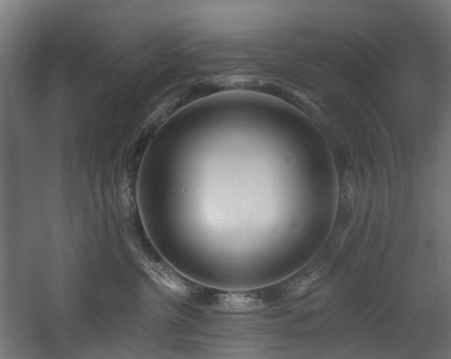 X0000060760380200511101146