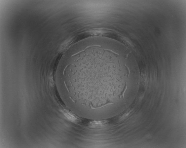 X0000060760381200511101146