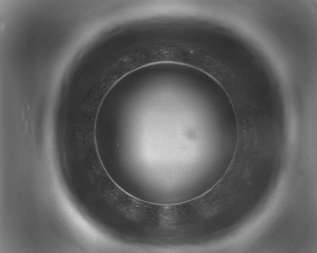 X0000060760382200511101146