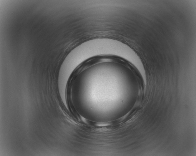 X0000060760383200511101146