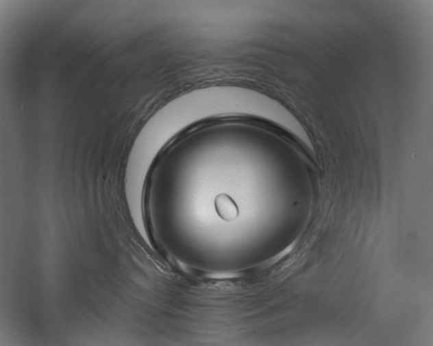 X0000060760384200511101146