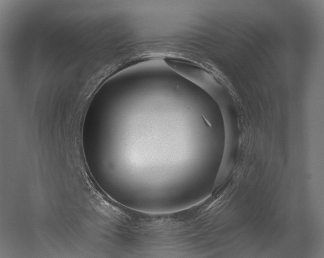 X0000060760385200511101146