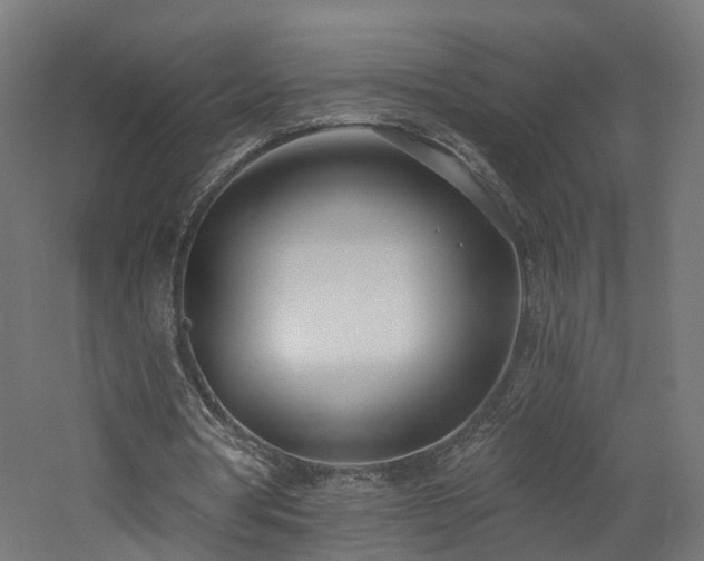 X0000060760386200511101146