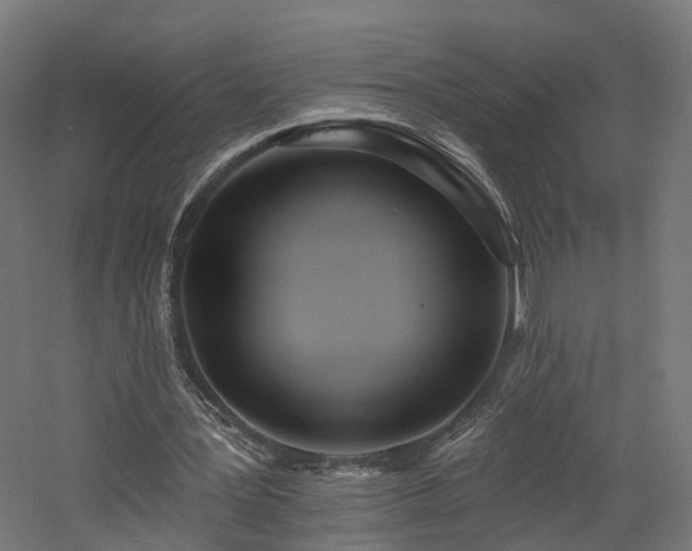 X0000060760387200511101146