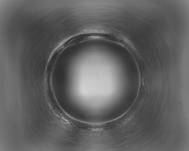 X0000060760388200511101146