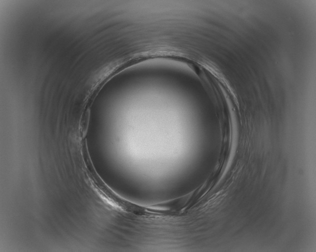 X0000060760389200511101146