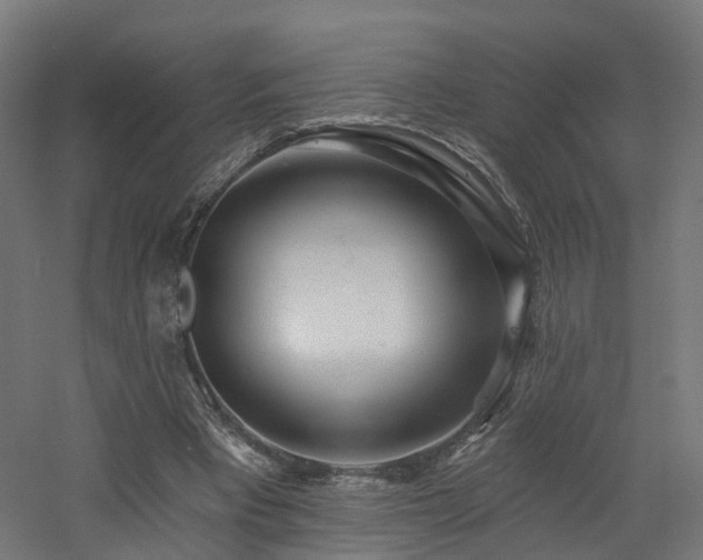 X0000060760393200511101145