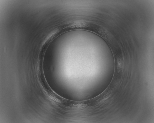 X0000060760396200511101145