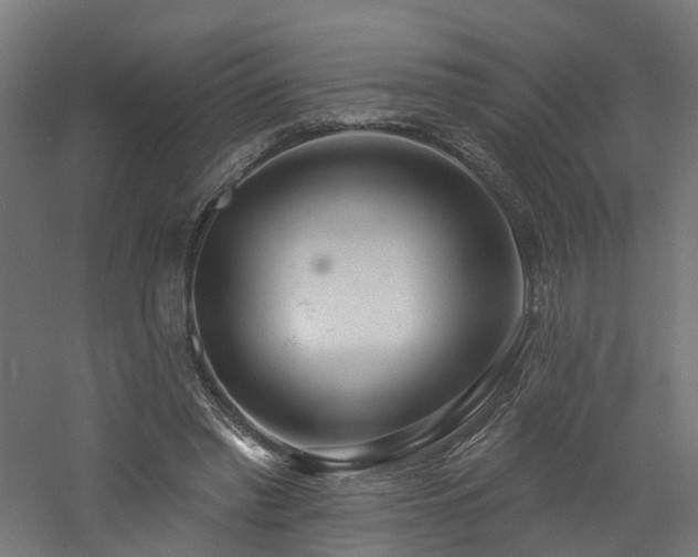 X0000060760397200511101145