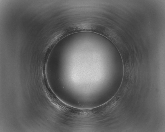 X0000060760398200511101145