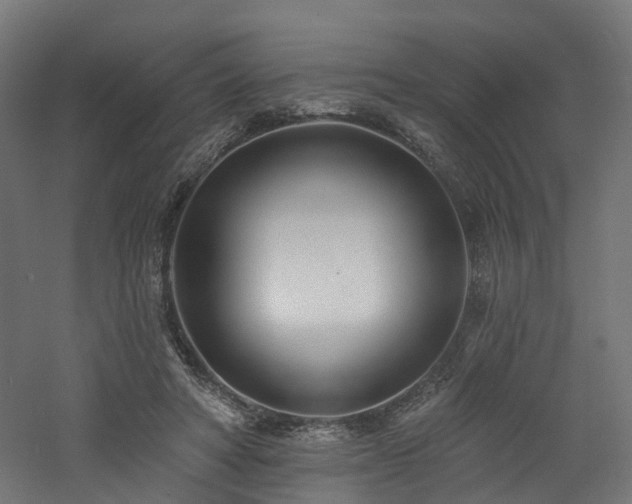 X0000060760402200511101145