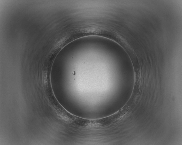 X0000060760403200511101145