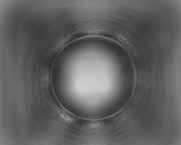 X0000060760405200511101145