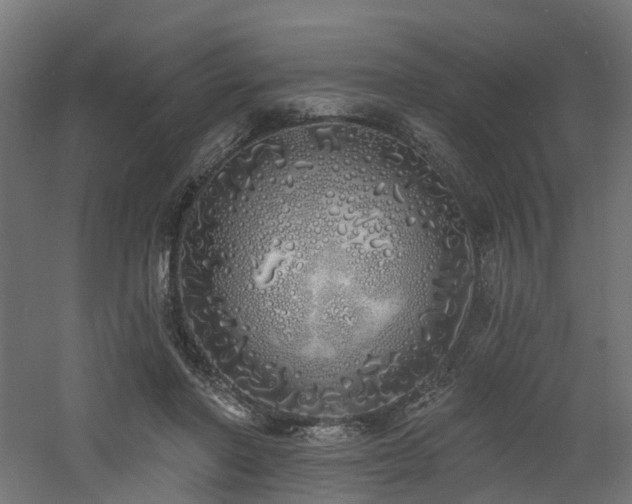 X0000060760406200511101145