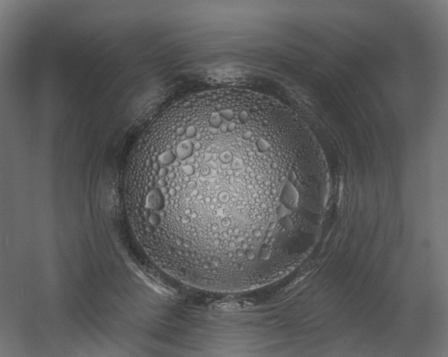 X0000060760408200511101145