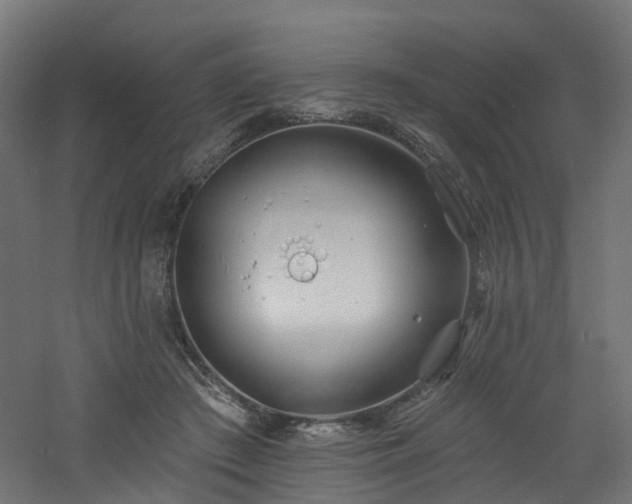 X0000060760409200511101145