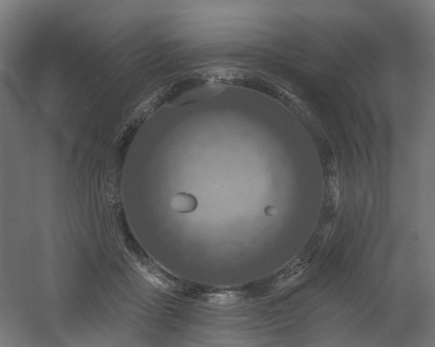 X0000060760411200511101145