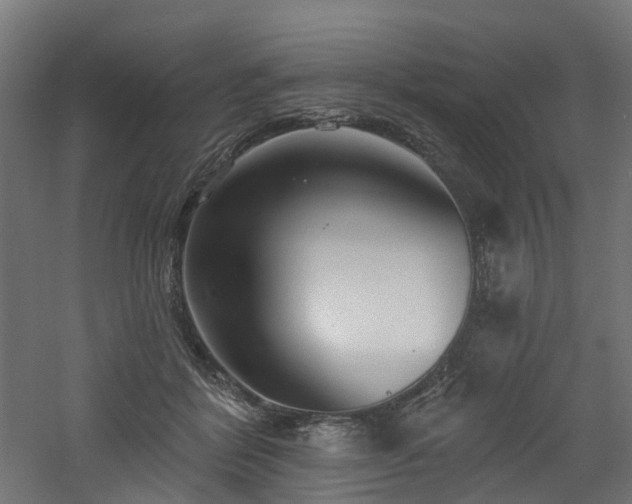 X0000060760412200511101145