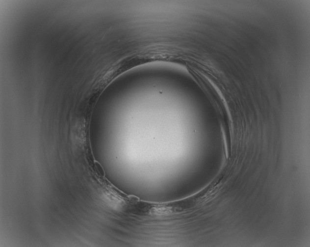 X0000060760413200511101145